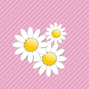 Meet your Posher, Karina